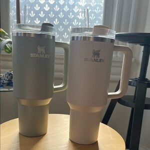 Stanley Insulated Tumblers - Green and White - Hearth & Hand Collection